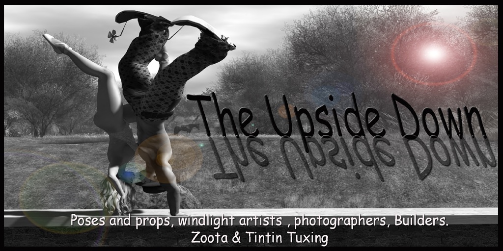 Upside Down Poses